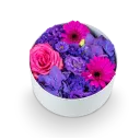 Box fialových květin